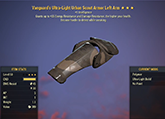 Vanguard's [Sneak] Scout Left Arm #12